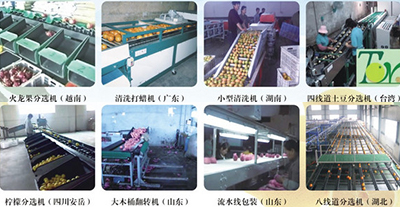 台湾吉农牌水果分选机：分类及产地